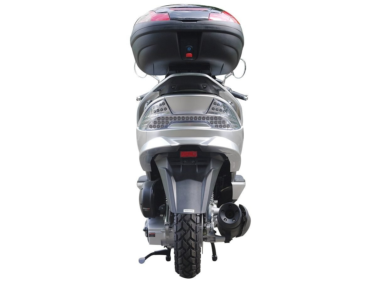 Icebear Maximus (PST300-20) - Image 10