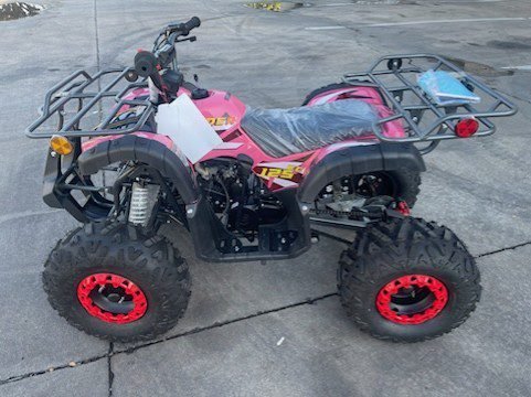 Vitacci Rider 9 125cc ATV, Fully Automatic with Reverse, 4-Stroke Single Cylinder, Air-Cooled Engine - Image 10