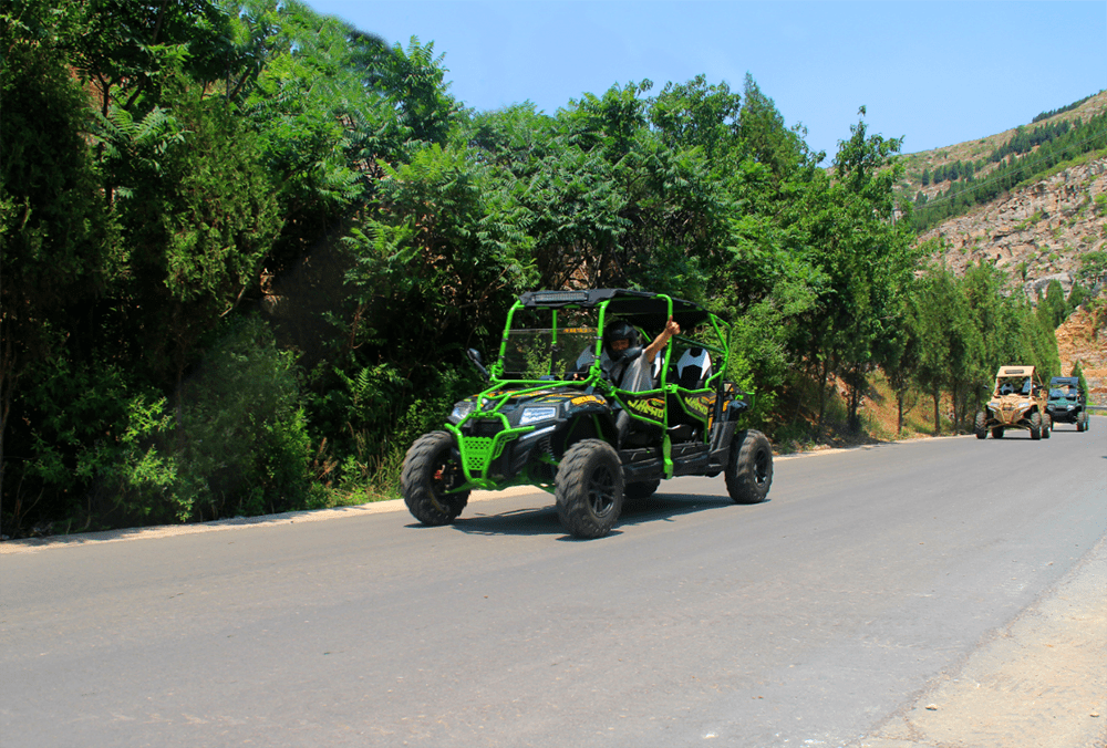 Vitacci Predator 400 XL 4-Seater UTV, 4-Stroke, Single-Cylinder, Water-Cooled, Electric Start - Image 17