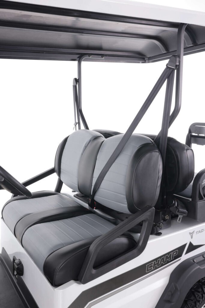 Tao Motor Champ Electric Golf Cart, Large Colorful TFT Display, 48V AC 5KW KDS Motor - Image 10