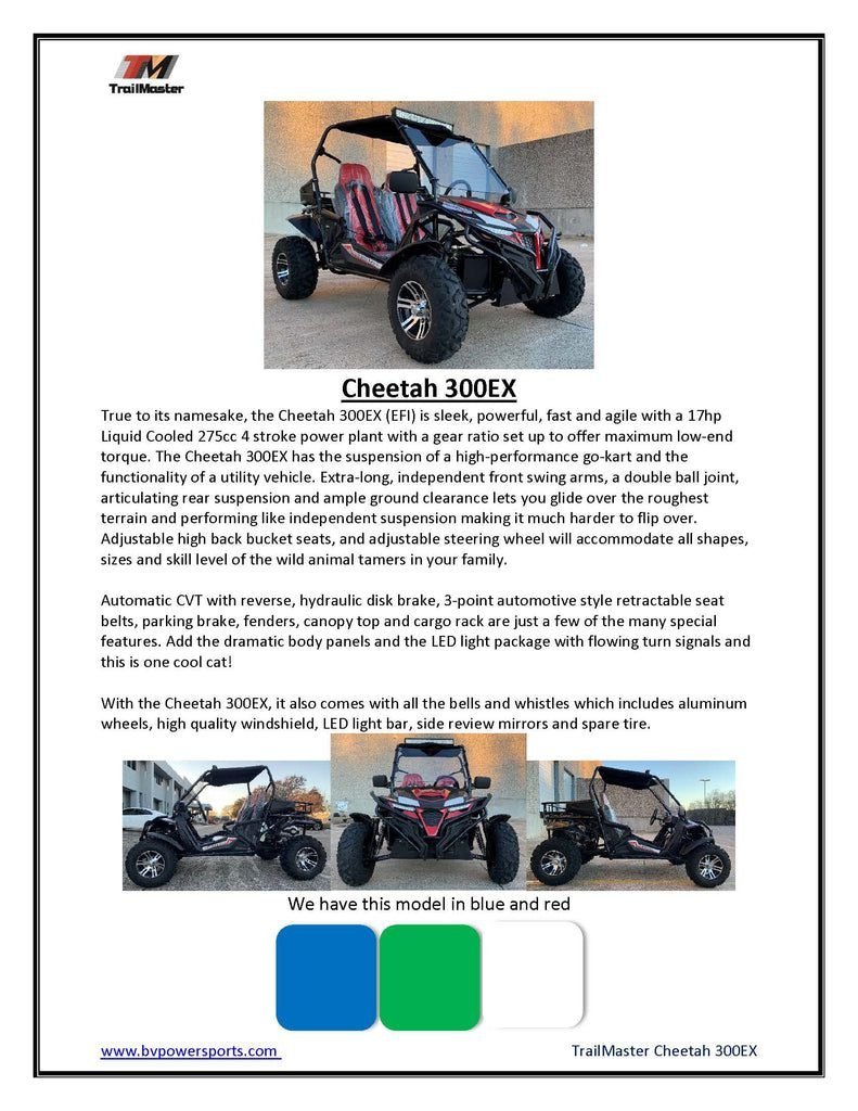 Trailmaster Cheetah 300EX Go Kart, Fully automatic with reverse, Top LED light bar - Image 9