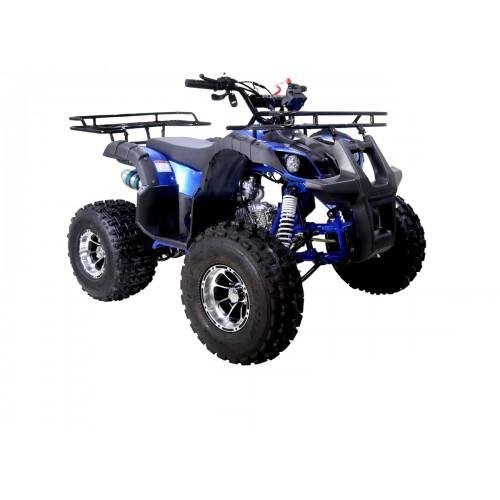 Tao Motor New T-Force 125cc ATV, Mid-Size Utility, Fully Automatic with Reverse, 4-Stroke Air-Cooled Engine - Image 6