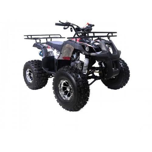 Tao Motor New T-Force 125cc ATV, Mid-Size Utility, Fully Automatic with Reverse, 4-Stroke Air-Cooled Engine - Image 2