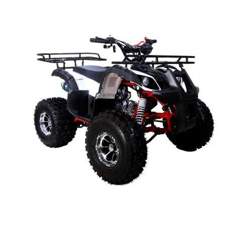 Tao Motor New T-Force 125cc ATV, Mid-Size Utility, Fully Automatic with Reverse, 4-Stroke Air-Cooled Engine - Image 4