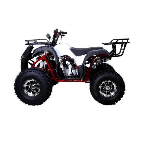Tao Motor New T-Force 125cc ATV, Mid-Size Utility, Fully Automatic with Reverse, 4-Stroke Air-Cooled Engine - Image 3