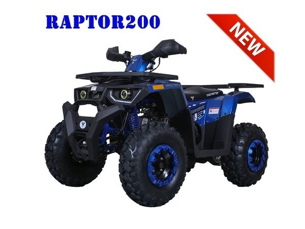 Raptor 200cc Automatic ATV - Image 4