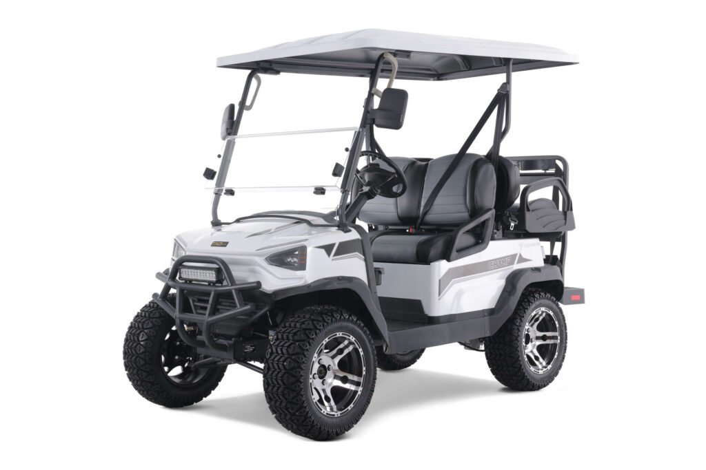 Tao Motor Champ Electric Golf Cart, Large Colorful TFT Display, 48V AC 5KW KDS Motor - Image 7