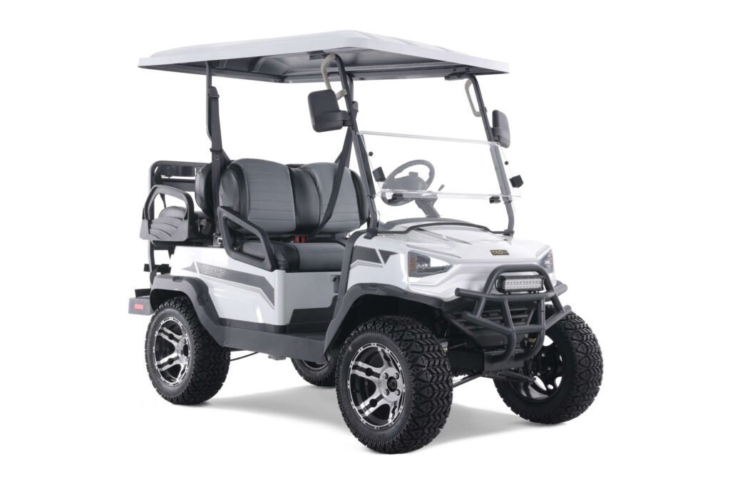 Tao Motor Champ Electric Golf Cart, Large Colorful TFT Display, 48V AC 5KW KDS Motor - Image 6