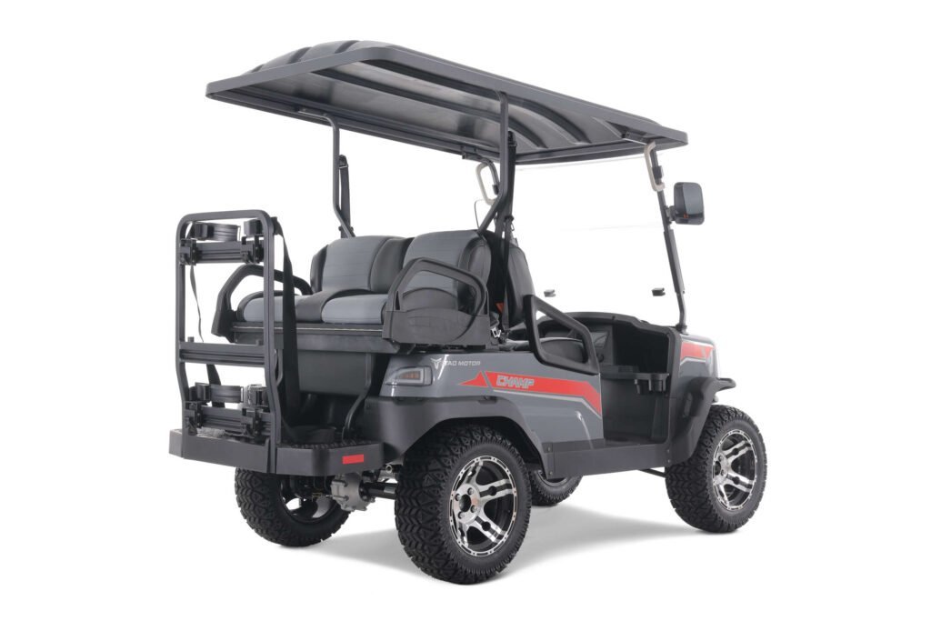Tao Motor Champ Electric Golf Cart, Large Colorful TFT Display, 48V AC 5KW KDS Motor - Image 4