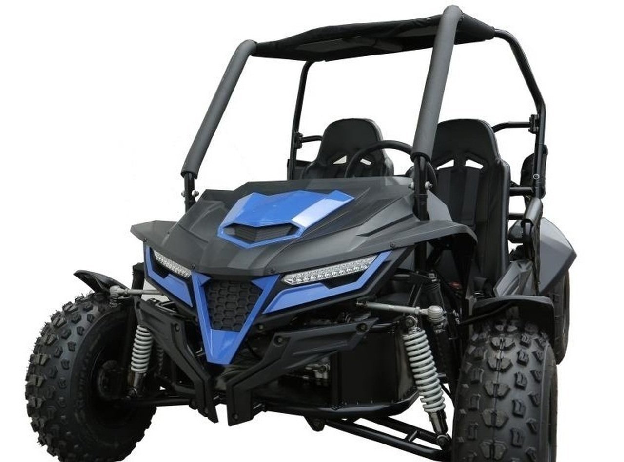 New TrailMaster Cheetah 200 Go Kart, 4-Stroke, Single Cylinder, Air Cooled, Automatic With Reverse - Image 2