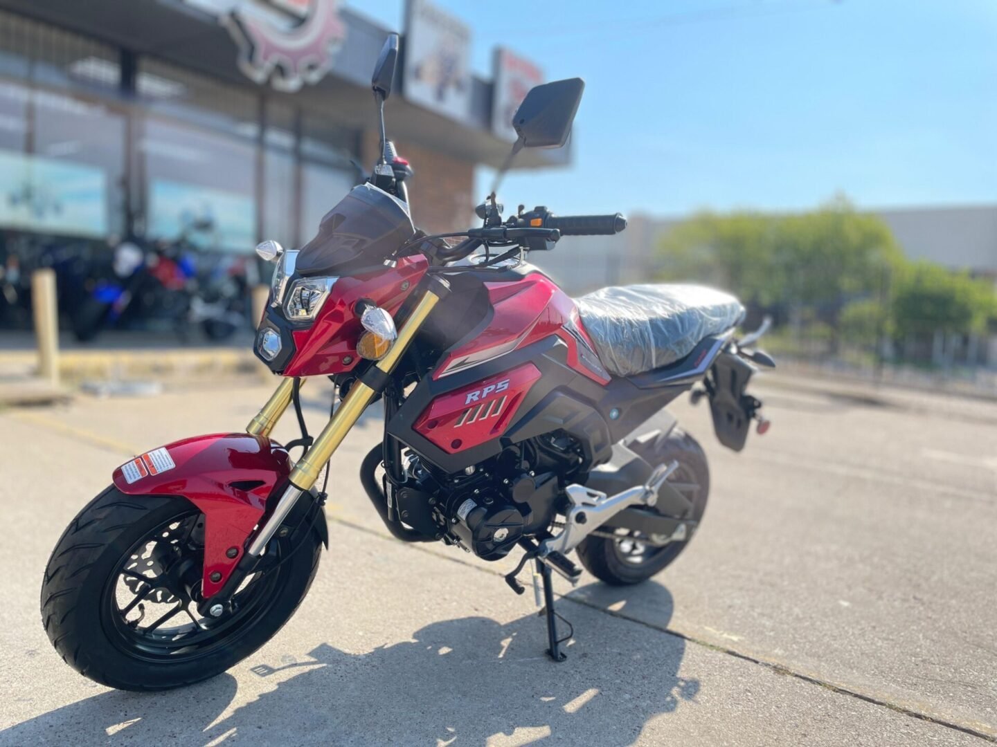 RPS CONDOR 150cc Sports Bike With 5-Gear Transmission, Disc Brake - Image 2