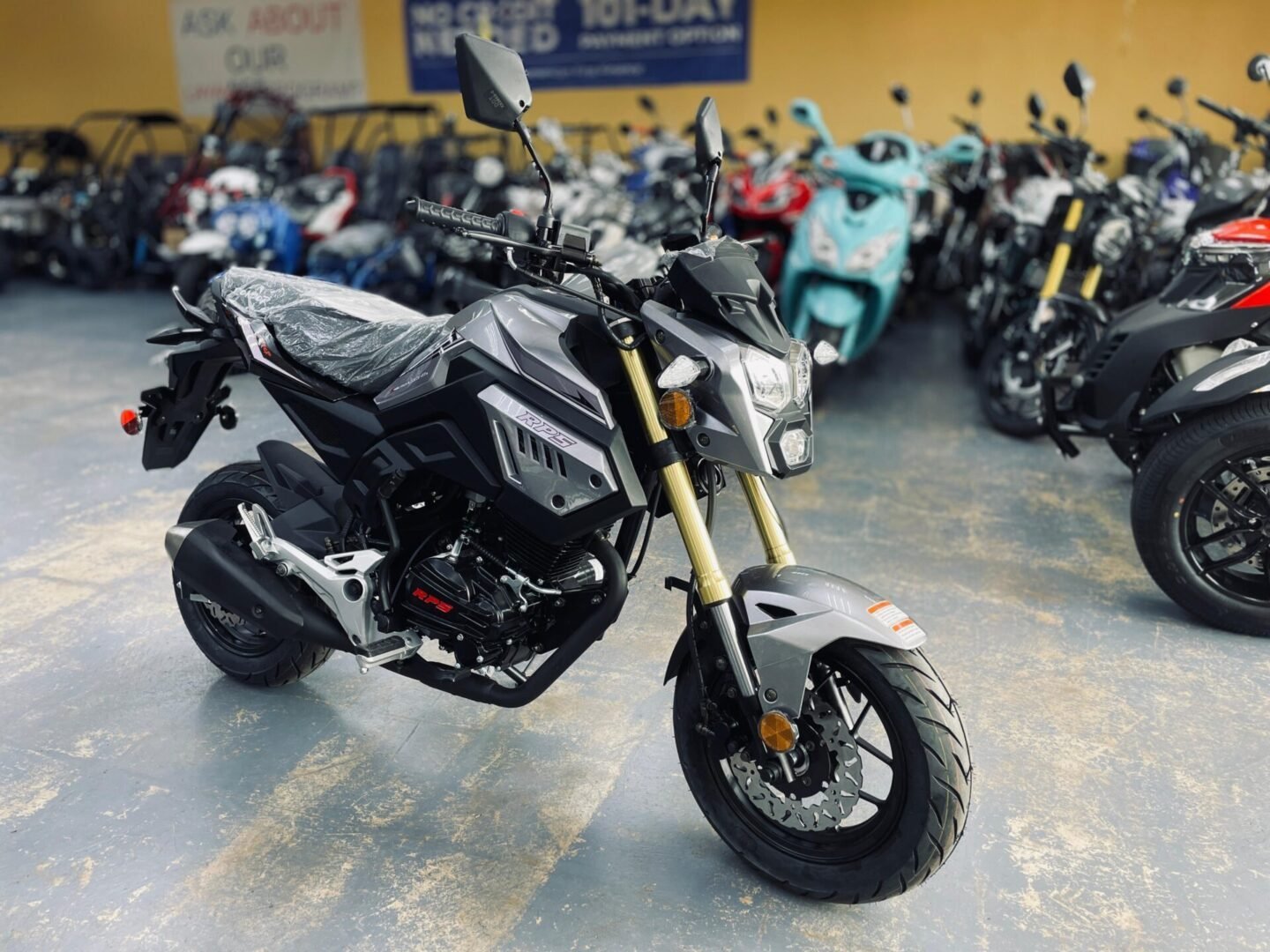 RPS CONDOR 150cc Sports Bike With 5-Gear Transmission, Disc Brake - Image 17