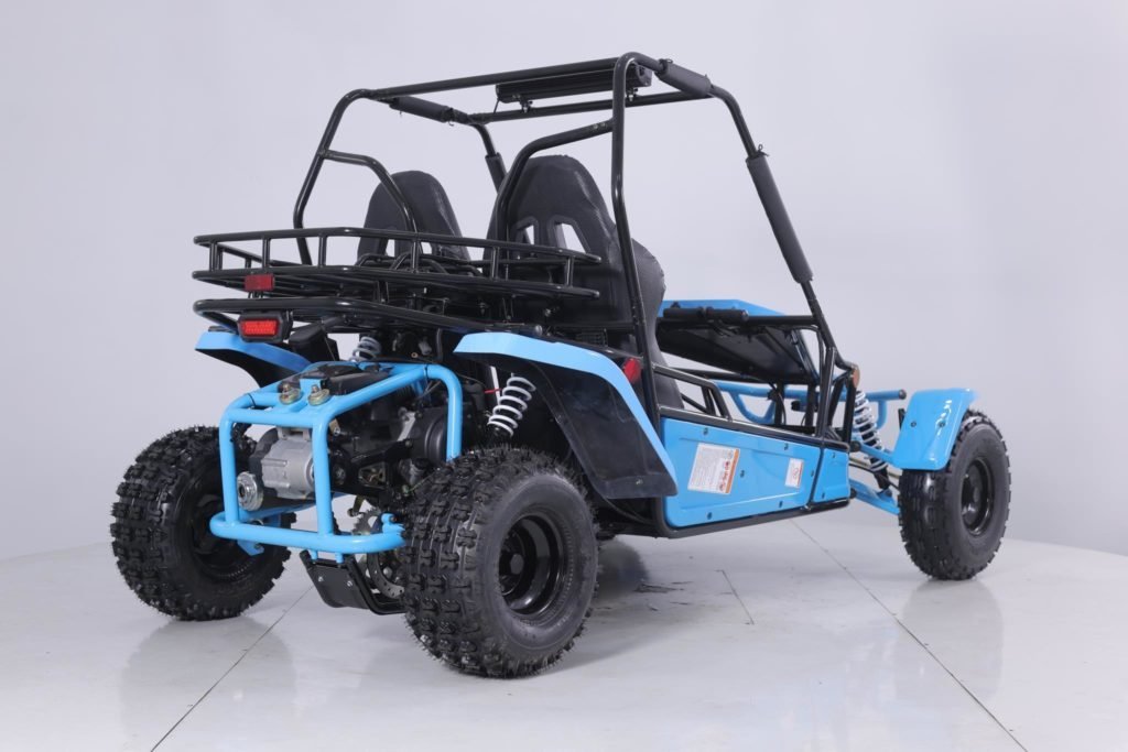 Tao Motor Baja Sport 200 Go-Kart, Air-Cooled 4-Stroke, Fully Automatic with Reverse - Image 2