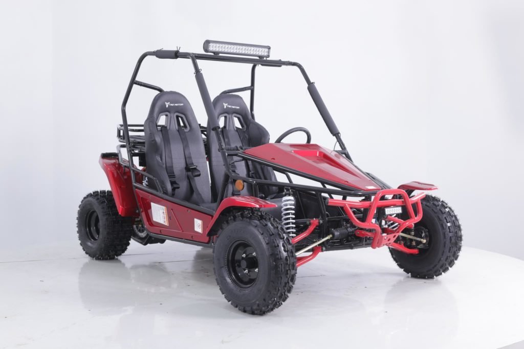 Tao Motor Baja Sport 200 Go-Kart, Air-Cooled 4-Stroke, Fully Automatic with Reverse - Image 3